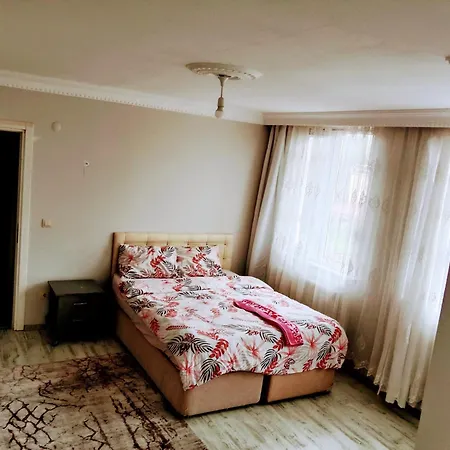 Orman Içinde Villada 2 Arnavutkoy