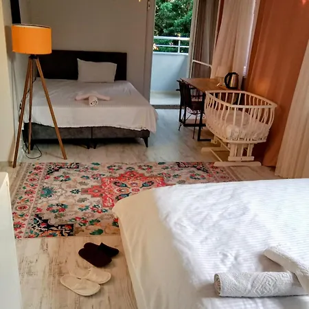 ロッジ Ahmet Teacher Hotel,6 Minutes From The Airport *
