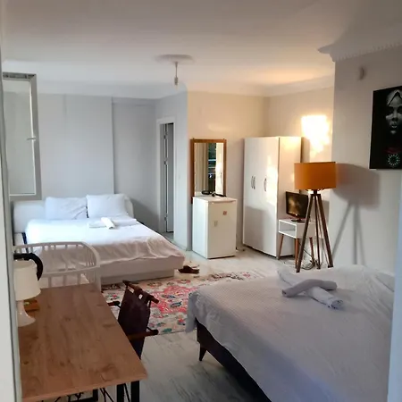 ロッジ Ahmet Teacher Hotel,6 Minutes From The Airport Arnavutköy